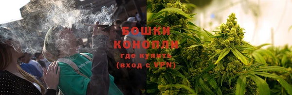 ешки Белокуриха