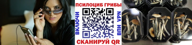 мега сайт  Курлово  Галлюциногенные грибы Psilocybe 